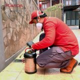 Jasa Pembasmi Semut Cabang Bali