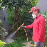 Jasa Anti Rayap Profesional 2026