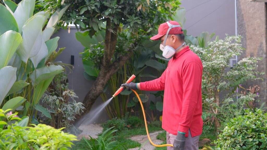 Jasa Anti Rayap Profesional 2026: Lindungi Properti Anda Secara Total